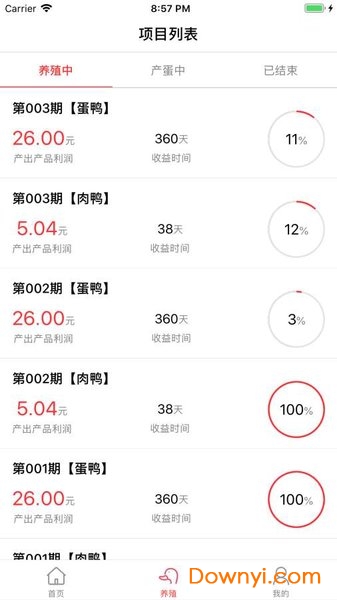 网小鸭手机版图1