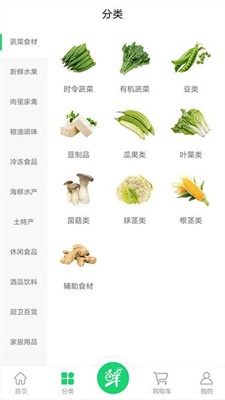 生鲜园图2