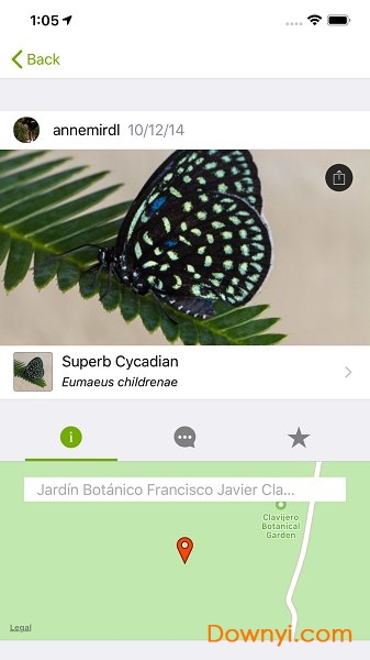 inaturalist app图1