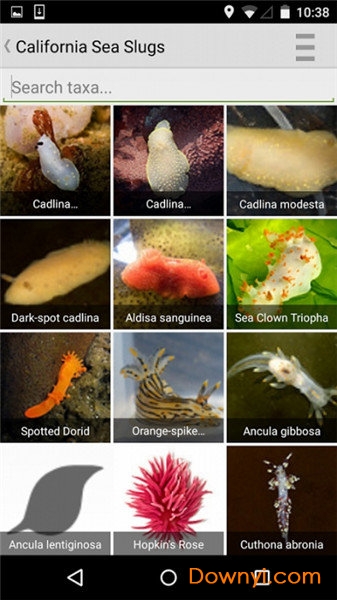 inaturalist app图3