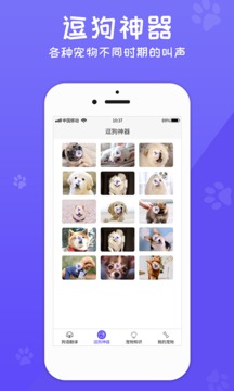 狗语翻译器免费翻译狗语图2