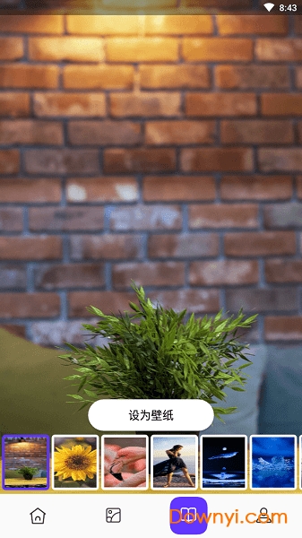 皮皮助手软件图2