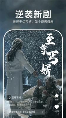 红果短剧图1