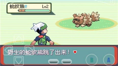 宝可梦究极绿宝石破解版图3