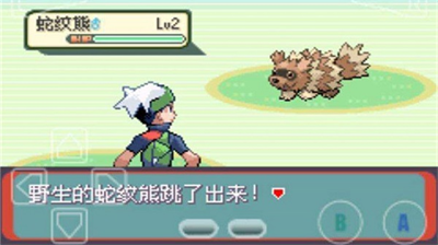 精灵宝可梦绿宝石无限神兽版图4