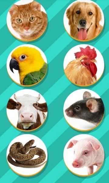鸟语翻译器app(Pet Translator)图1